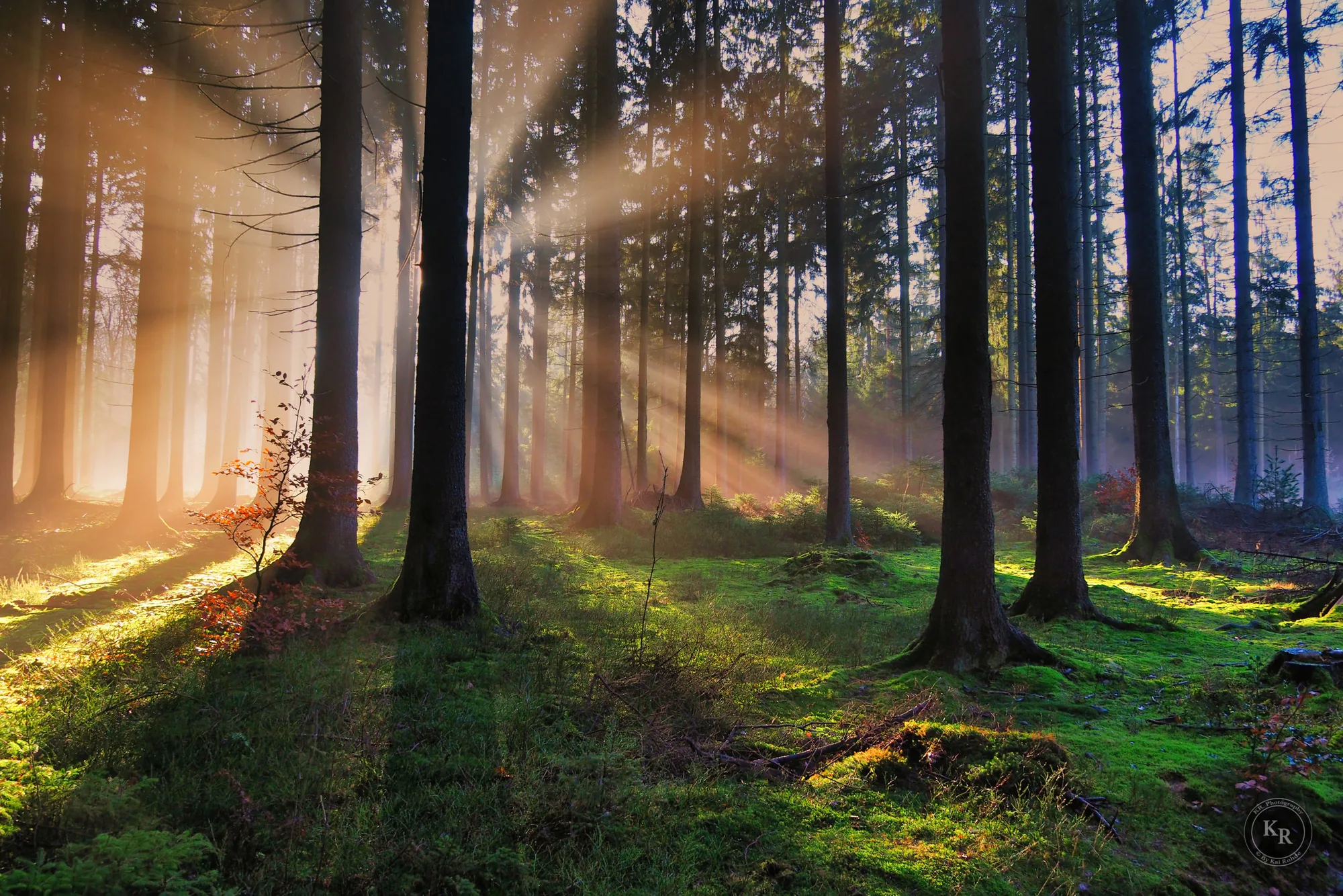 Landscape & Nature
