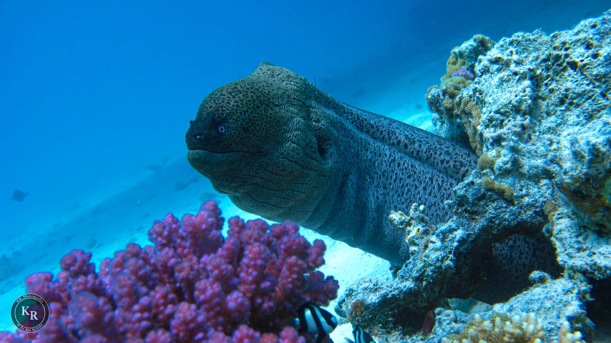 Underwater